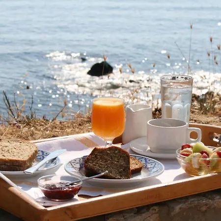 Hotel Pelagia Aphrodite